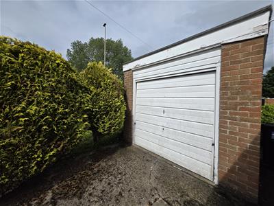 Picture 20
